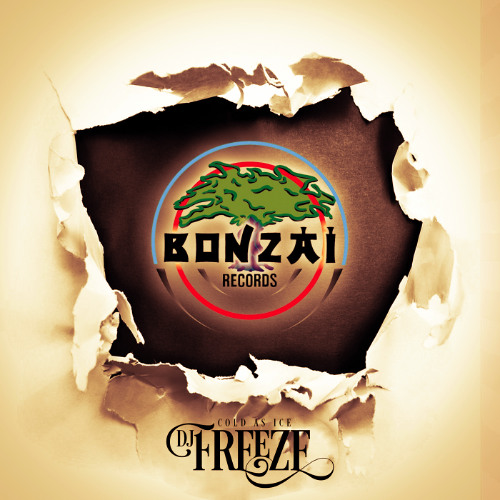 Bonzai Classics DJ Set By DJ Freeze
