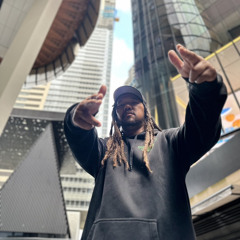 I wanna be down Brandy Moist vip