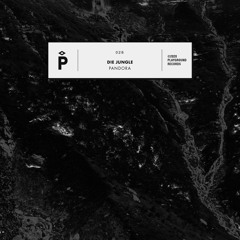 EXCLUSIVE: Die Jungle - Pandora (MR TC's Combinado Mix) [Playground Records]