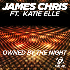 Owned By The Night (Club Mix)