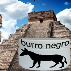 Pomada Burro Negro