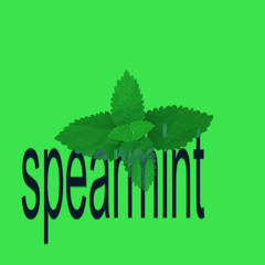 spearmint (333)