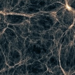 cosmos