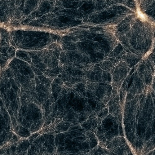 cosmos
