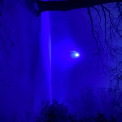 Blowing in the Wind (Bob Dylan)