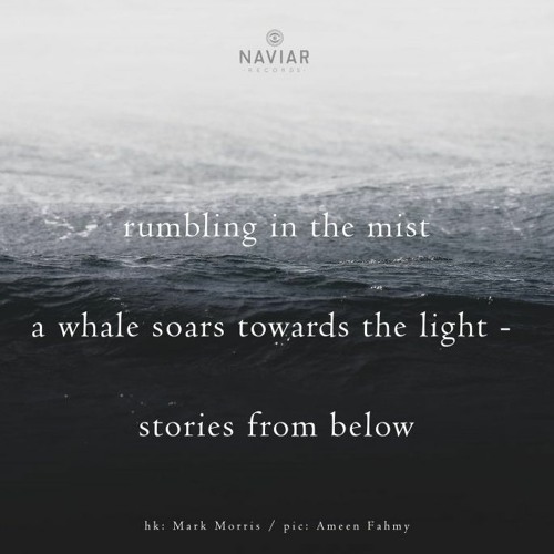 Deep tales of the Leviathan enlightenment (Naviar Haiku 326)