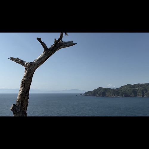 05 応援しがいヒューマン