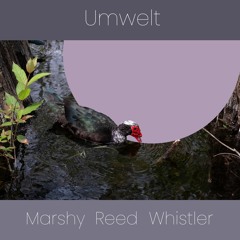 Umwelt