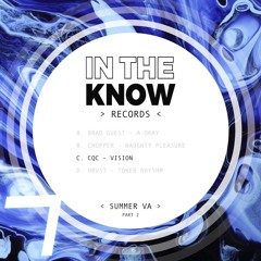 PremEar: CQC - Vision [ITK006]