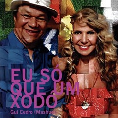 EU SÓ QUERO UM XODÓ (GUI CEDRO MASHUP) FREE DOWNLOAD