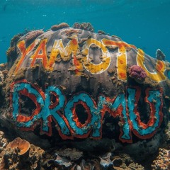 Yamotu Dromu Remix _ DJ Junior x Seru Tawake