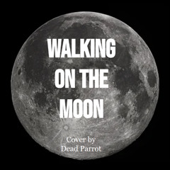 Walking On The Moon (The Police Cover)