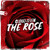 Artwork for Cloud Seven - The Rose