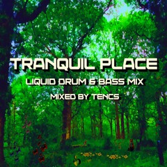 Tranquil Place (2021 Liquid Drum & Bass Mix)