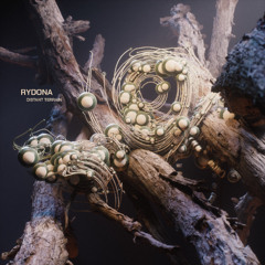 Rydona - Gully