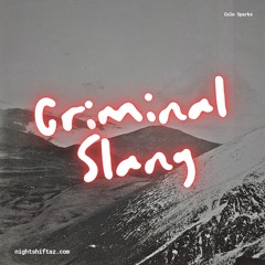 Criminal Slang