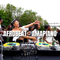 Afrobeat & Amapiano Mix 2024 🔥 | Vaïbz Party #1 🎉 | By DJ T-Sia