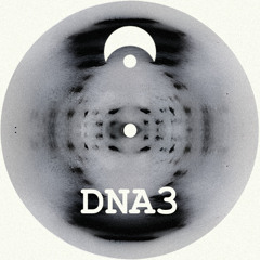 DNA3