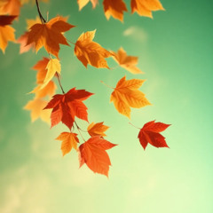 2025 पतझड़ — एक छोटी बुढ़ापा है पतझड़ — एक छोटी मृत्यु है  hard rock, blues