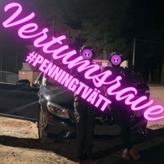 Vertumsrave #penningtvätt