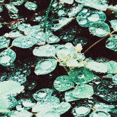 Sadness - Rain Chamber