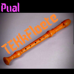 Da wird die TEKkFloete gespielt - Pual