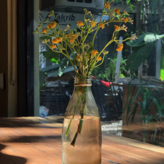 Snow Patrol - Chasing Cars