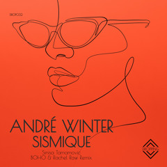 Sismique (Sinisa Tamamovic Remix)