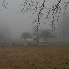 Madman's Tranquility