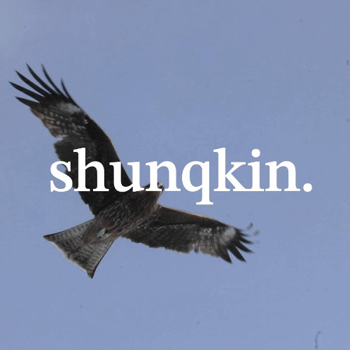 街灯と帰路と君と / shunqkin.