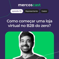 [E-COMMERCE B2B] Estratégias para começar sua loja virtual. [EP 115]