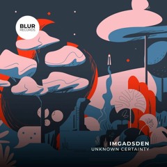 Premiere: IMGADSDEN - Unknown Certainty [Blur Records]
