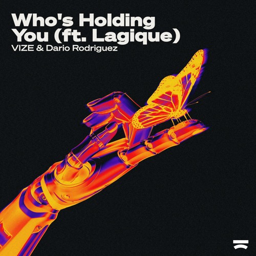 VIZE & Dario Rodriguez - Who's Holding You ft. Lagique