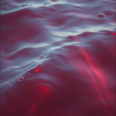Crimson Reverie_ Whispers of the Tide