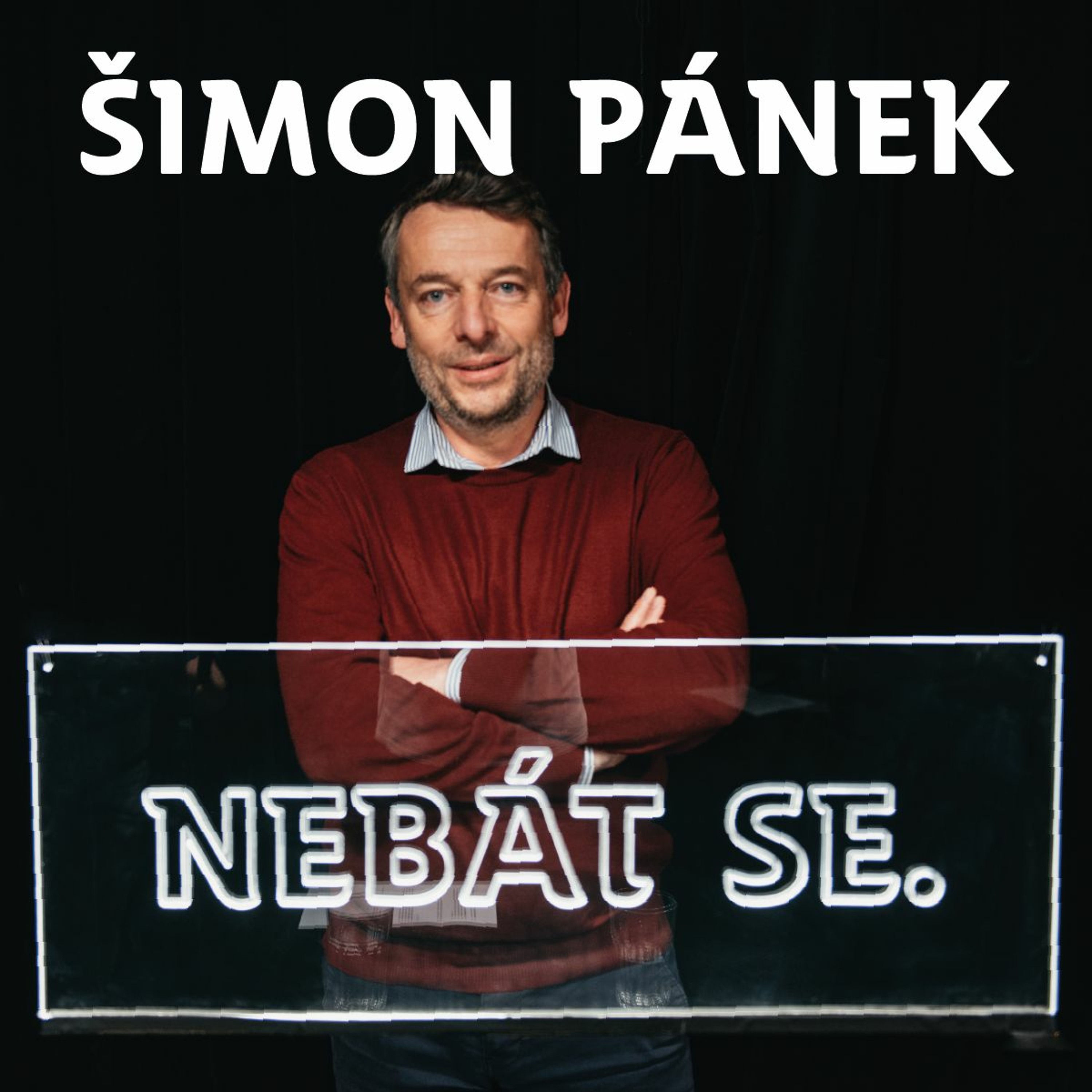 Skautský institut