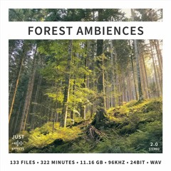 FOREST AMBIENCES - Preview