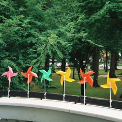 thầm ôm lấy anh trong hy vọng, rồi giữ bước chân trong vô vọng