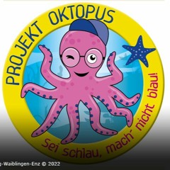 Schulverweigerer – Projekt Oktopus