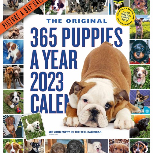 stream-book-365-puppies-a-year-picture-a-day-wall-calendar-2023-full-pages-by-camrynryleigh