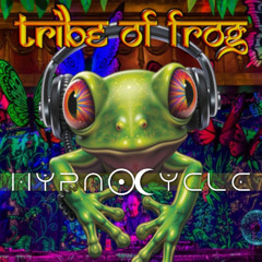 Tribe of Frog Dj Competition 2025 - Hypnocycle - Darkprog Psytrance