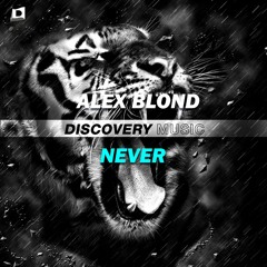 Never (Radio Edit) [Discovery Music