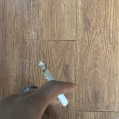 What got in me