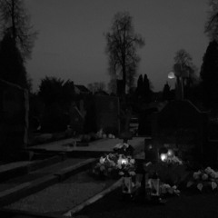 vesta-suristi viena virce