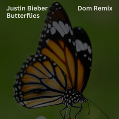 Justin Bieber - Butterflies (Dom Remix)
