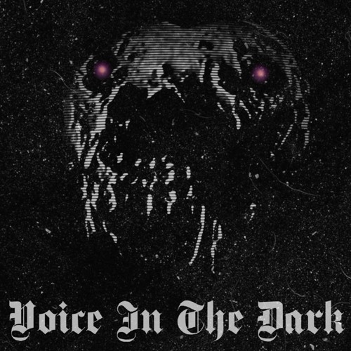 Voice In The Dark
