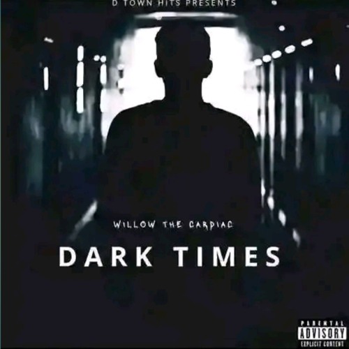 Stream INTRO by Willow The Cardiac | Listen online for free on SoundCloud