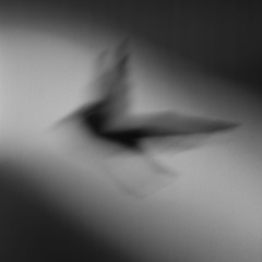 Air raid