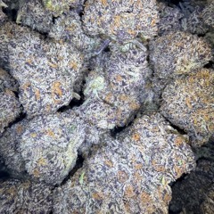 I Dont Care SCREWED - Lil Danny 2026 LEAK