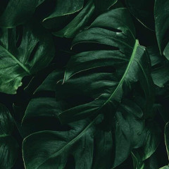 GREENER GRASS FREESTYLE Feat. Huego 9 Prod By Yondo