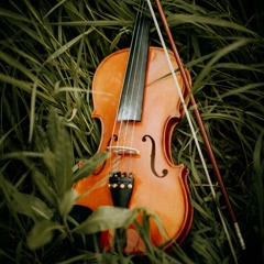 Further Into The Rabbit Hole